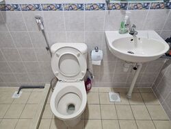 Blk 17 Dover Ville (Queenstown), HDB 4 Rooms #597118341